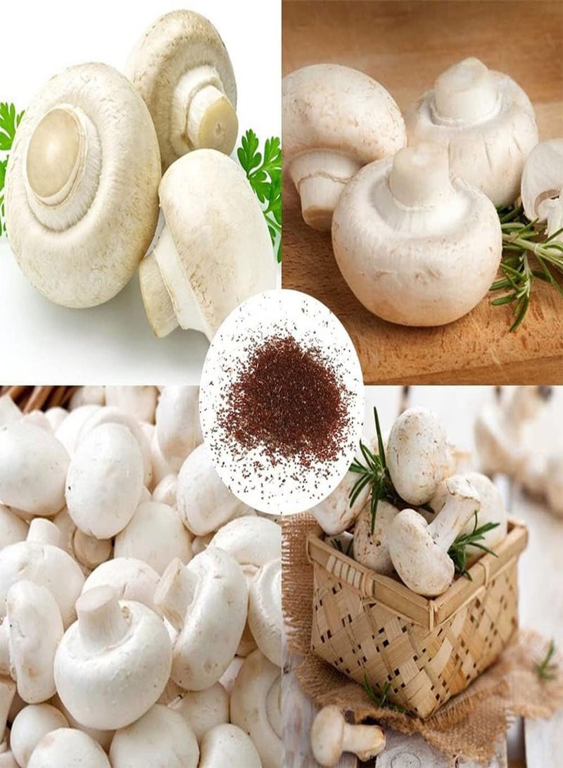 GGOOT 200Pcs White Mushroom Seeds Growing Pack Home Garden Courtyard Vegetable Plant Seedlings Seeds 1size - Image 1