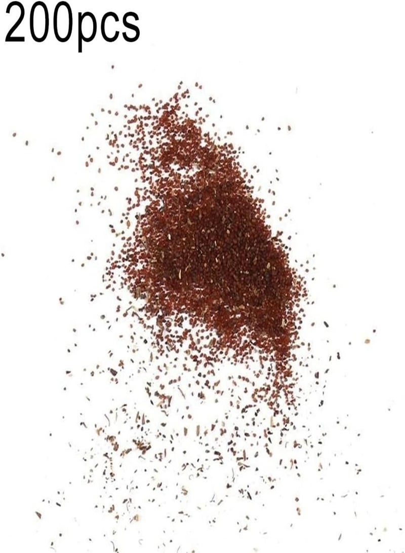 GGOOT 200Pcs White Mushroom Seeds Growing Pack Home Garden Courtyard Vegetable Plant Seedlings Seeds 1size - Image 2