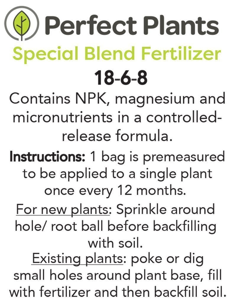 PERFECT PLANTS Coral Drift 1 Gallon - Image 4