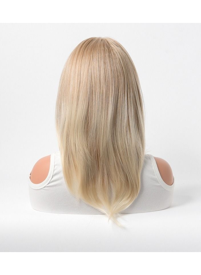إستيل شعر مستعار كامل للباروكة الاصطناعية مقاومة للحرارة شعر مستعار طبيعي طويل مستقيم مع الانفجارات سيدة الألياف شعر مستعار أنيق أشقر فاتح - Image 4