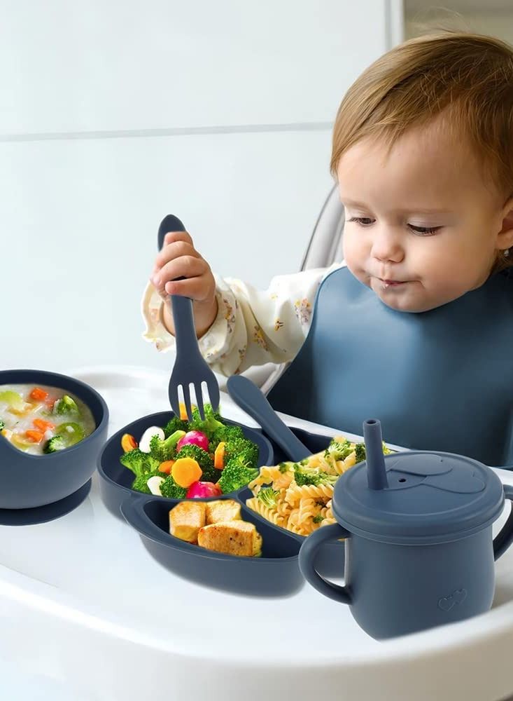 Baby Feeding Set 9 Pcs Silicone Baby Plate and Bowl Set with Suction Cup BPA-Free Baby Tableware Set Baby Led Weaning Supplies with Bib Bowl Spoon Fork Drink Cup Washable Microwave Safe for Toddler