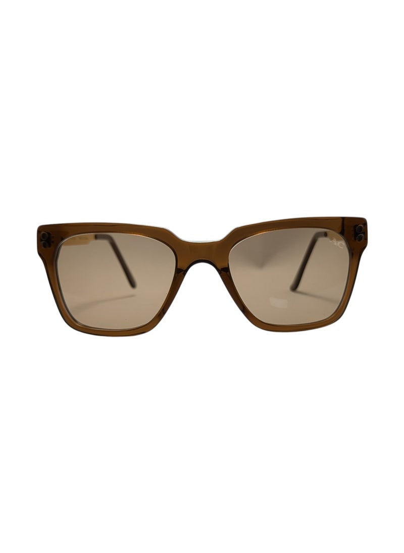 Armando Cavelli - Authentic Armando Cavelli sunglasses, crafted from carefully selected premium acetate for a luxurious look and longevity with extensive use. This model combines modernity and classic style, with a raw brown acetate front and golden -plated metal temples to complete your luxury look. Comes with premium polymer lenses offer UV400 protection in a light brown - Image 1