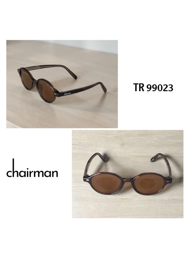 نظارة شمسية Chairman TR 99023، بإطار بني وعدسات بنية
