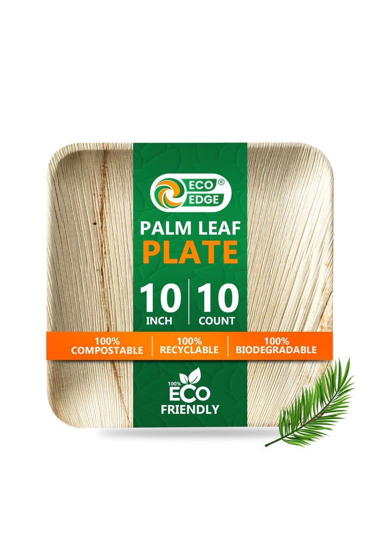 EcoEdge 10 Inch Square Areca Palm Leaf Disposable Plates (Pack of 10) | Renewable Resource, Planet Friendly | BPA Free, Spill Proof, Multipurpose | Microwave and Freezer Safe | 100% Compostable - Image 1