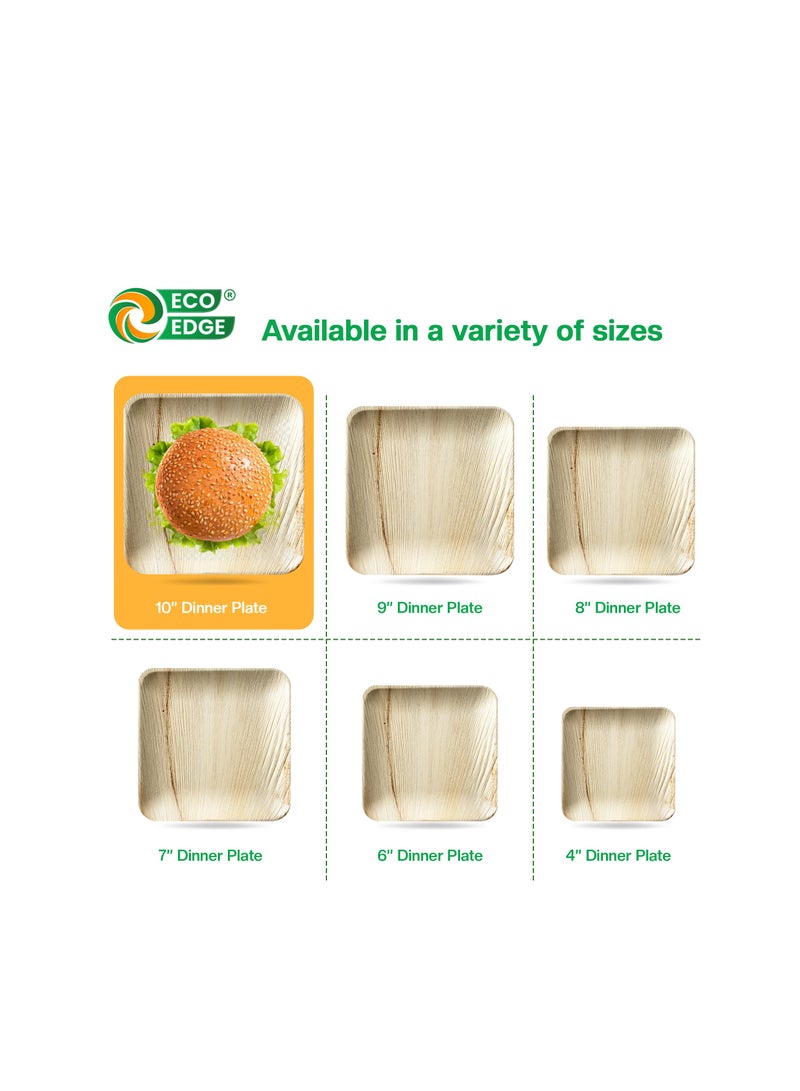 EcoEdge 10 Inch Square Areca Palm Leaf Disposable Plates (Pack of 10) | Renewable Resource, Planet Friendly | BPA Free, Spill Proof, Multipurpose | Microwave and Freezer Safe | 100% Compostable - Image 3