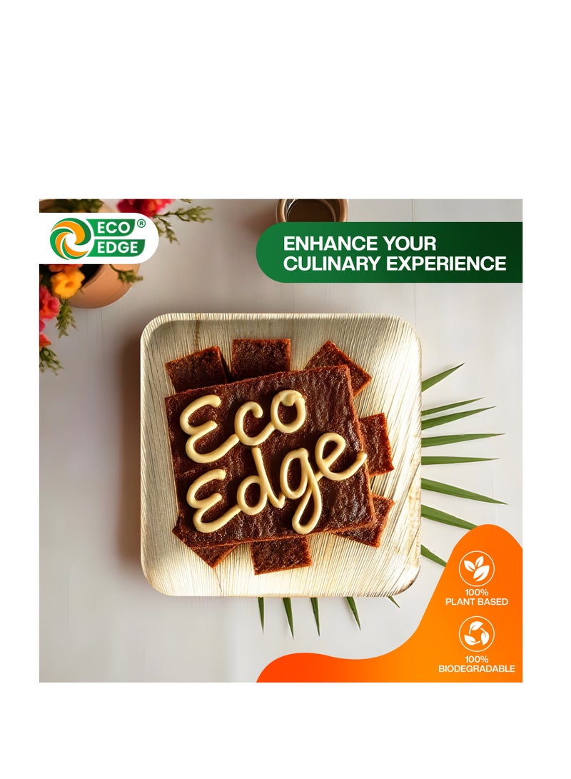 EcoEdge 10 Inch Square Areca Palm Leaf Disposable Plates (Pack of 10) | Renewable Resource, Planet Friendly | BPA Free, Spill Proof, Multipurpose | Microwave and Freezer Safe | 100% Compostable - Image 4