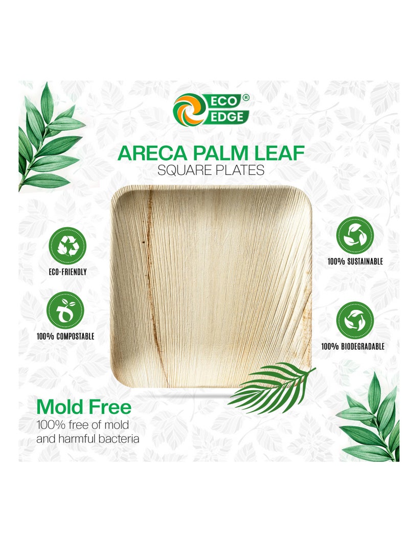 EcoEdge 10 Inch Square Areca Palm Leaf Disposable Plates (Pack of 10) | Renewable Resource, Planet Friendly | BPA Free, Spill Proof, Multipurpose | Microwave and Freezer Safe | 100% Compostable - Image 5