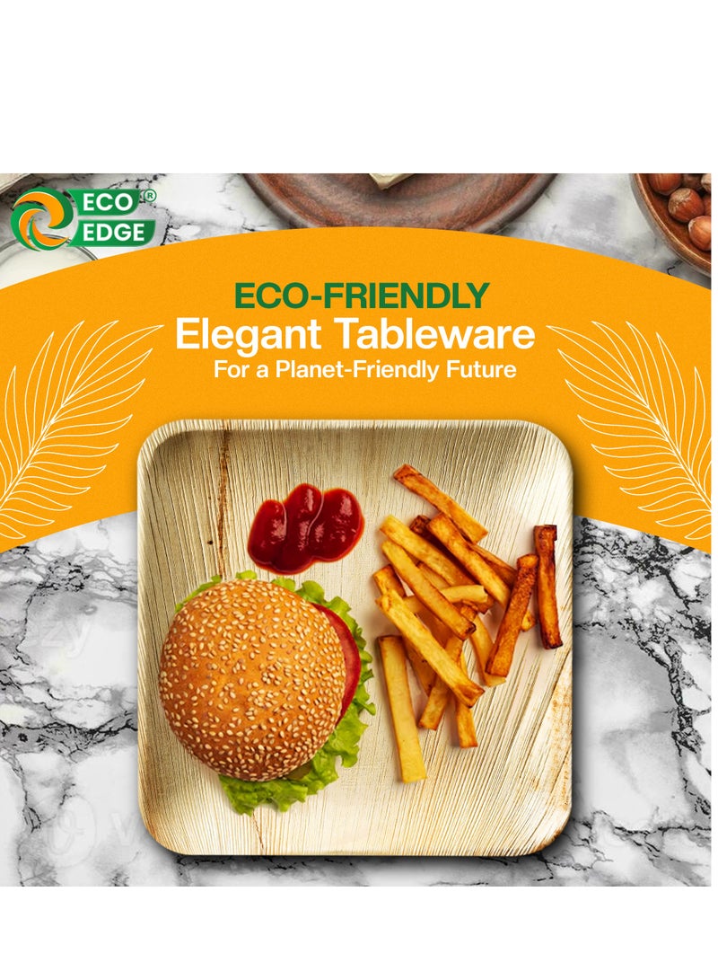 EcoEdge 10 Inch Square Areca Palm Leaf Disposable Plates (Pack of 10) | Renewable Resource, Planet Friendly | BPA Free, Spill Proof, Multipurpose | Microwave and Freezer Safe | 100% Compostable - Image 2
