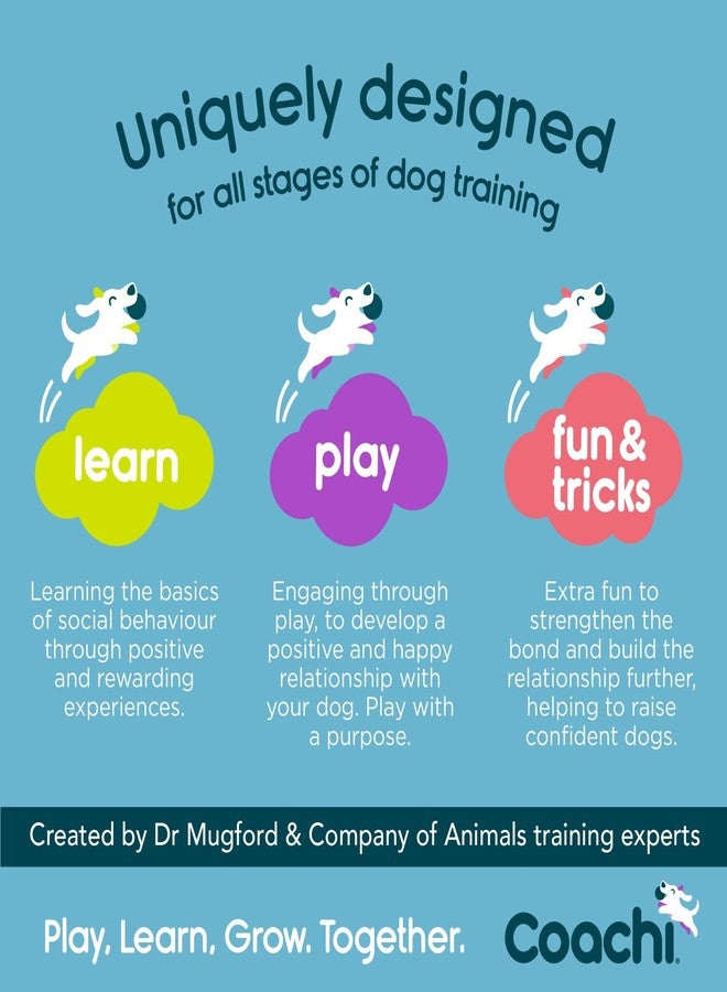 Company of Animals Coachi Tuggi Hide - Interactive Dog Toy for Tug of War & Play. Strong & Comfortable, Stretchy Bungee Handle, Reward Training, Interrupting Biting & Chewing. Ideal for Agility and Suitable for Puppies - Image 5