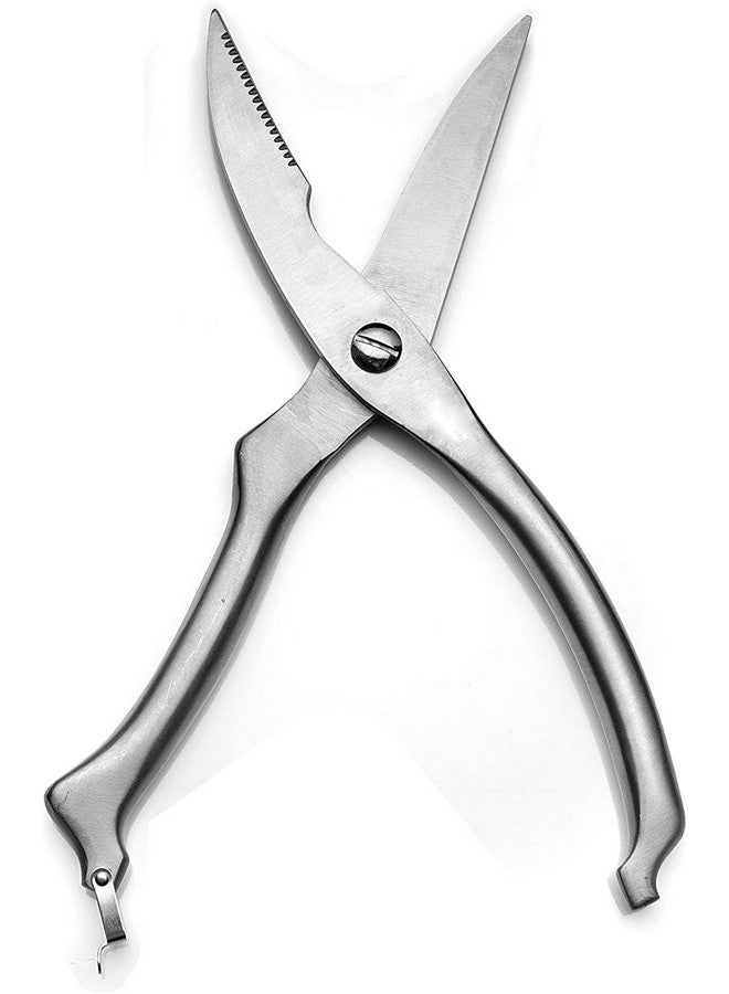 بي- بلس إنترناشونال مقصات الدواجن المصنوعة من الفولاذ المقاوم للصدأ شديدة التحمل للعظام والدجاج واللحوم والأسماك والمأكولات البحرية والخضروات | مقص طعام (فضي) - Image 2