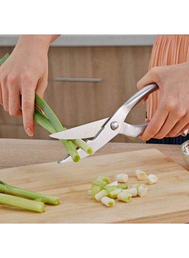 بي- بلس إنترناشونال مقصات الدواجن المصنوعة من الفولاذ المقاوم للصدأ شديدة التحمل للعظام والدجاج واللحوم والأسماك والمأكولات البحرية والخضروات | مقص طعام (فضي) - Image 4