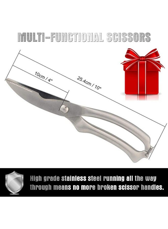 بي- بلس إنترناشونال مقصات الدواجن المصنوعة من الفولاذ المقاوم للصدأ شديدة التحمل للعظام والدجاج واللحوم والأسماك والمأكولات البحرية والخضروات | مقص طعام (فضي) - Image 3