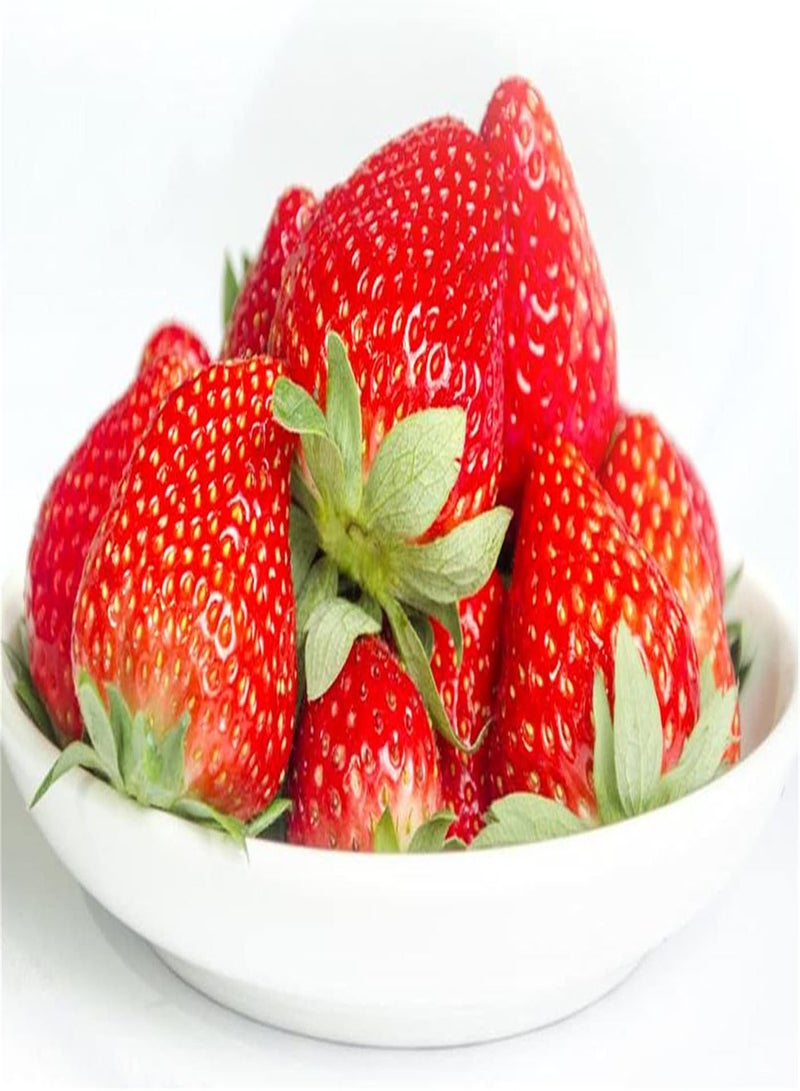 GGOOT Strawberry Seeds-Outdoor Herb Seeds-Home Gargen Collection Gift-300 Pcs - Image 1