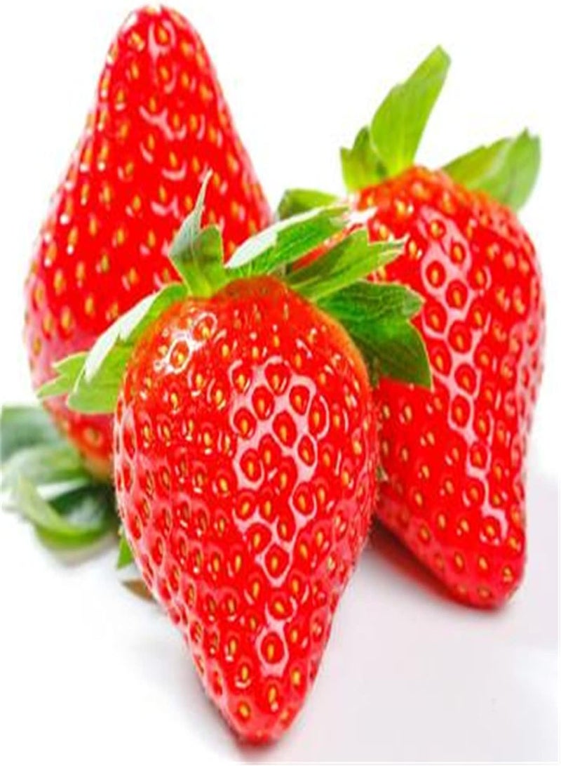 GGOOT Strawberry Seeds-Outdoor Herb Seeds-Home Gargen Collection Gift-300 Pcs - Image 2