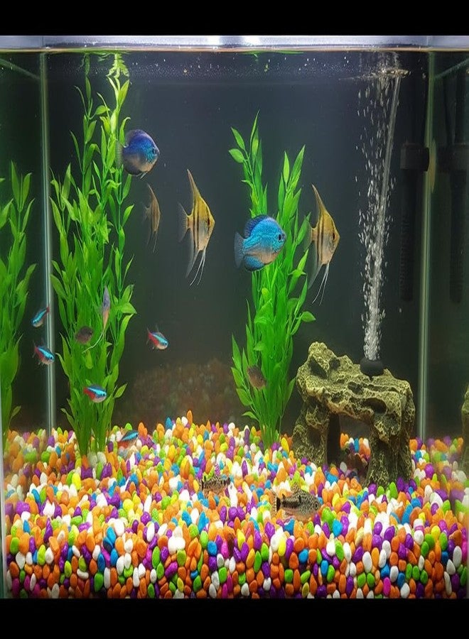 MASHKI Multi Coloured Decorative Stones for Aquarium River Pebbles for Flowerpot, Garden and Aquarium Stones for Pathway Stones for Home Decor - Image 3