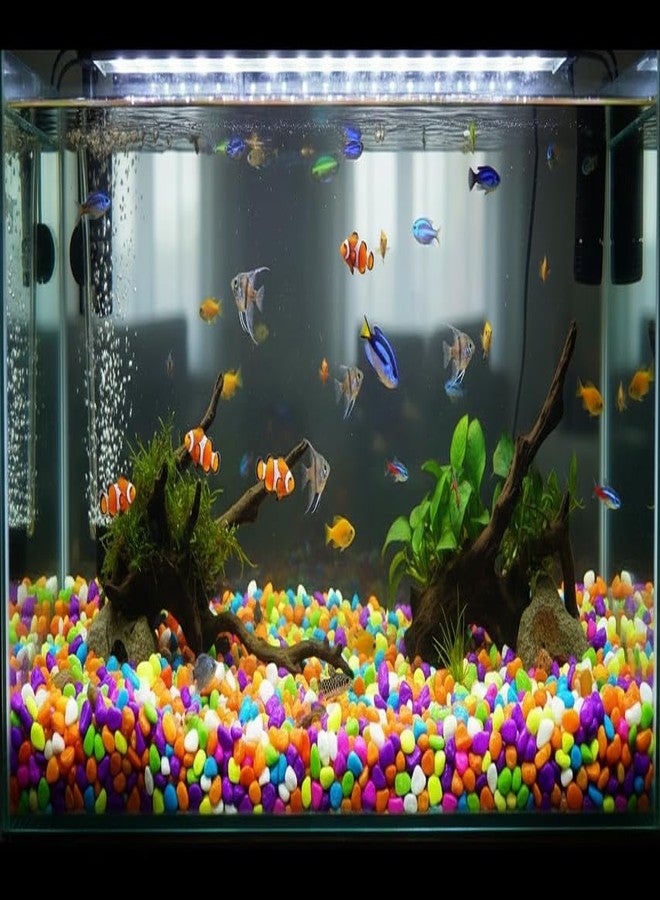MASHKI Multi Coloured Decorative Stones for Aquarium River Pebbles for Flowerpot, Garden and Aquarium Stones for Pathway Stones for Home Decor - Image 5
