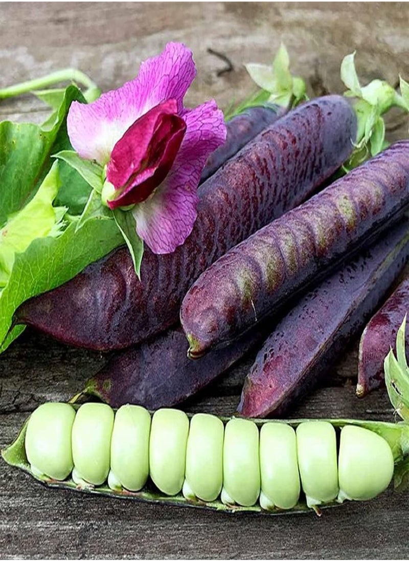 GGOOT Pea Blauwschokker Seeds Purple Pea Pods 10g  - Image 1
