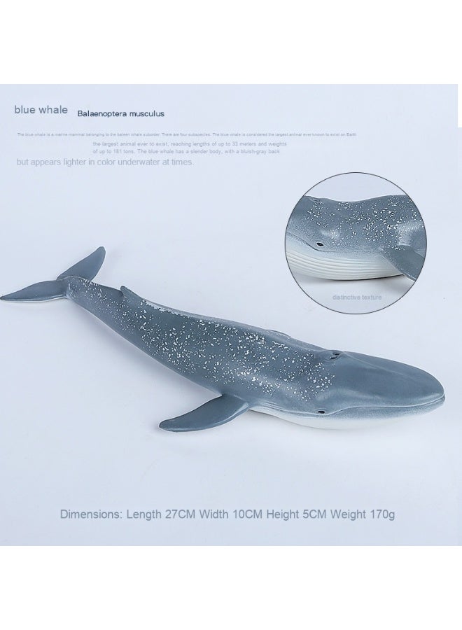 NIBEMINENT Simulation Blue Whale Animal Model Toy