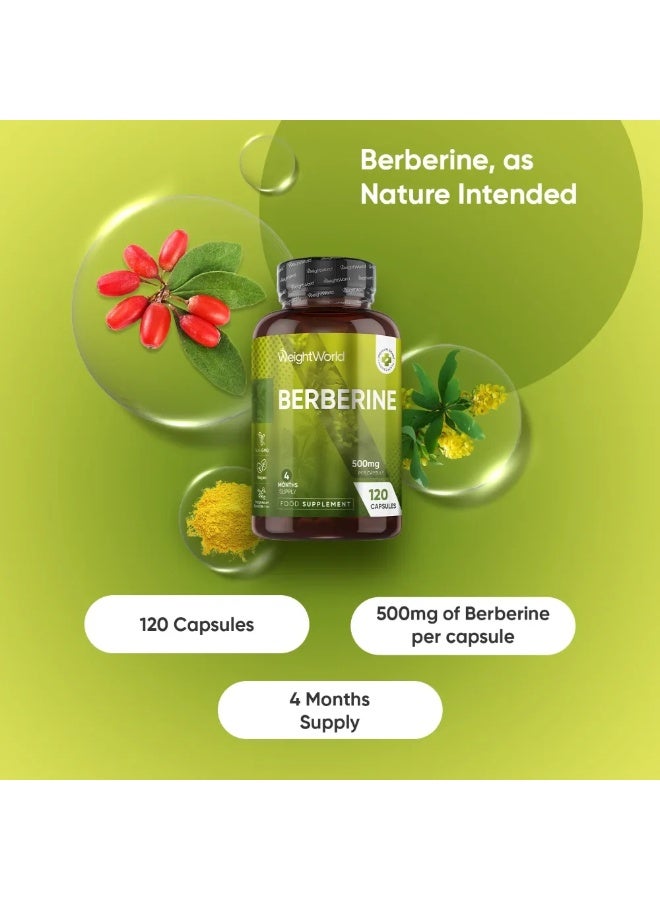 يربرين 500 ملغ – دعم صحي لمستوى السكر في الدم وإدارة الوزن – 120 كبسولة - Image 2