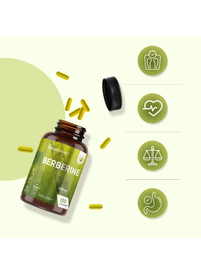 يربرين 500 ملغ – دعم صحي لمستوى السكر في الدم وإدارة الوزن – 120 كبسولة - Image 3