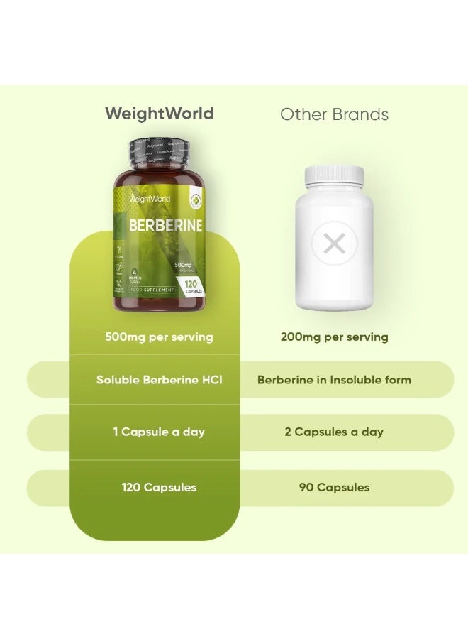 يربرين 500 ملغ – دعم صحي لمستوى السكر في الدم وإدارة الوزن – 120 كبسولة - Image 4