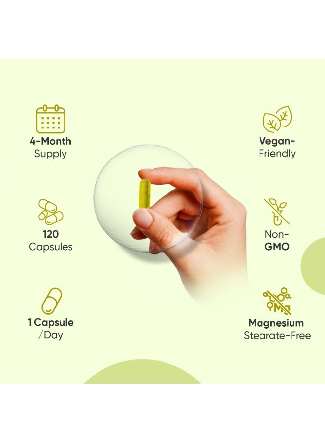 يربرين 500 ملغ – دعم صحي لمستوى السكر في الدم وإدارة الوزن – 120 كبسولة - Image 5