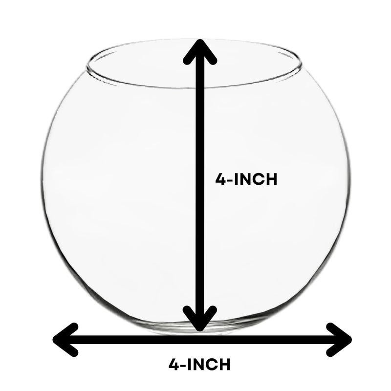 7pets Transparent 4-inch Fish Bowl with Out Neck Collar, Suitable for Small Fish, Plants | Optimum Fish Tank Choice for Office & Home Decor - Image 2