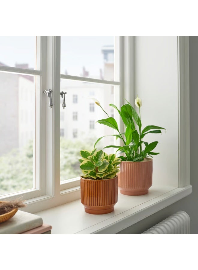 Brown Plant Pot – Indoor & Outdoor Decorative Flower Pot, Durable and Stylish, 12 cm Diameter - Image 2