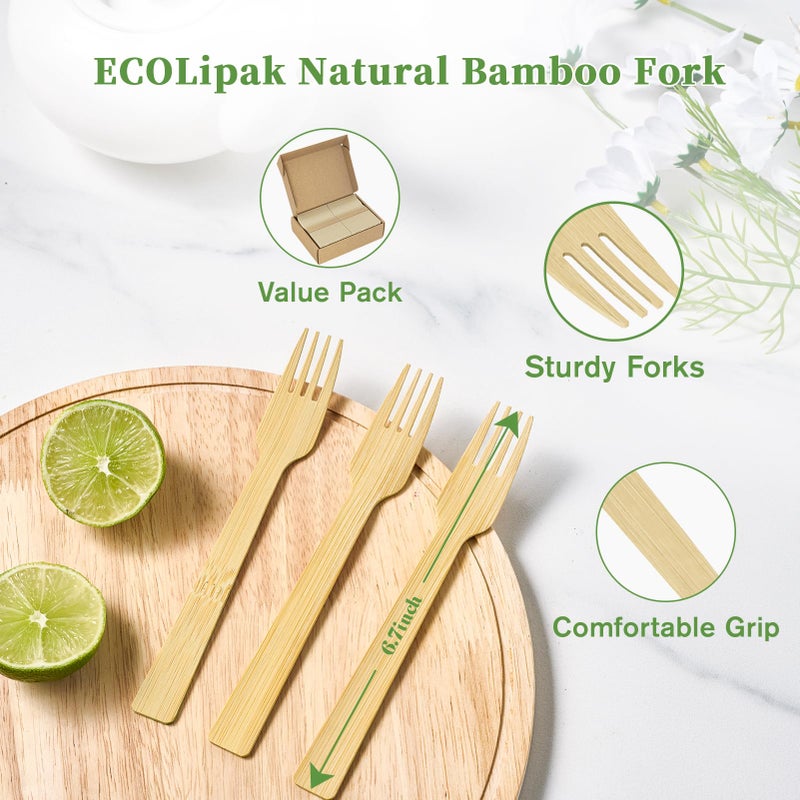 ECOLipak 300 Count Bamboo Forks Disposable  6.7 Inch No Splinters Heavy Duty Bamboo Disposable Compostable Forks for Party  Wedding  Camping  Traveling  Family Dinners  Large Events - Image 3