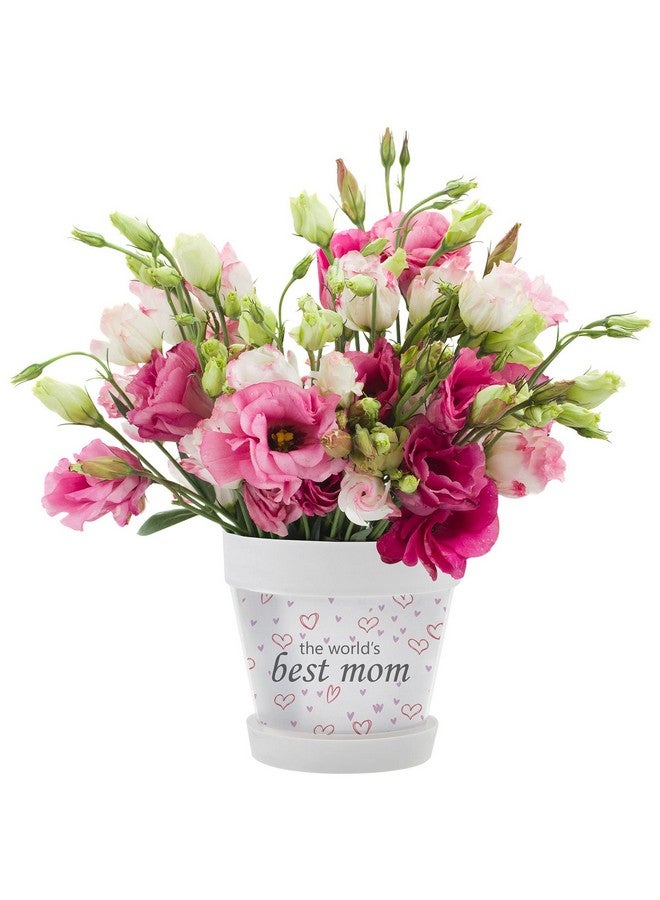Snapins Diy Kids Craft Flower Pot - Image 3