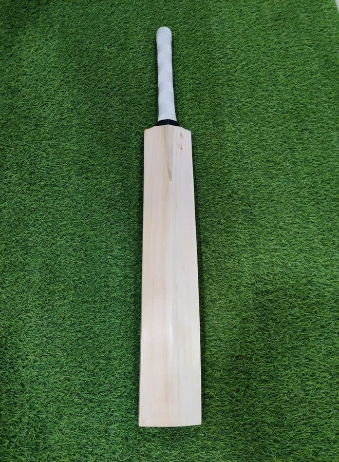 SAG Sports English Willow Plain Cricket Bat Full Size, (G_Pro_Level-3) - Image 1