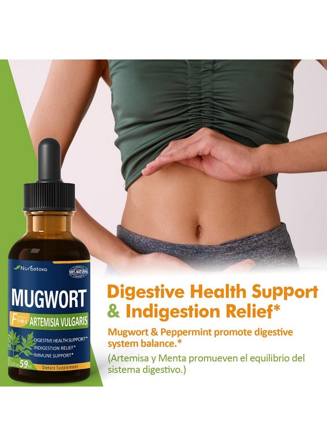 Nurbetoxa Mugwort Herb Extract Drops, Digestive Health Support Supplement/w Peppermint, Dandelion, Licorice, and Ginger. Indigestion & Bloating Relief, Gut Health & Immune Support. 2oz - Image 2