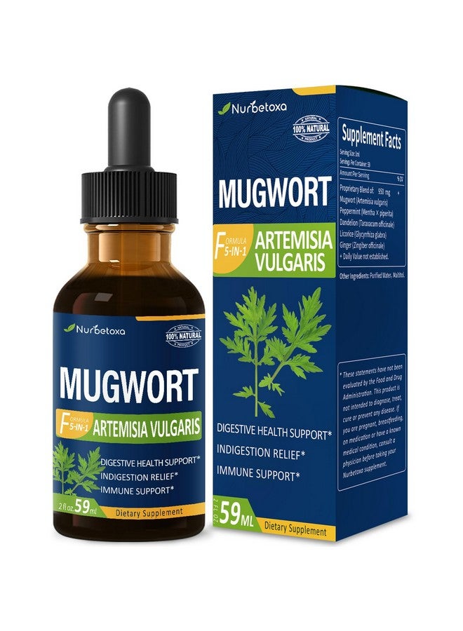 Nurbetoxa Mugwort Herb Extract Drops, Digestive Health Support Supplement/w Peppermint, Dandelion, Licorice, and Ginger. Indigestion & Bloating Relief, Gut Health & Immune Support. 2oz - Image 1