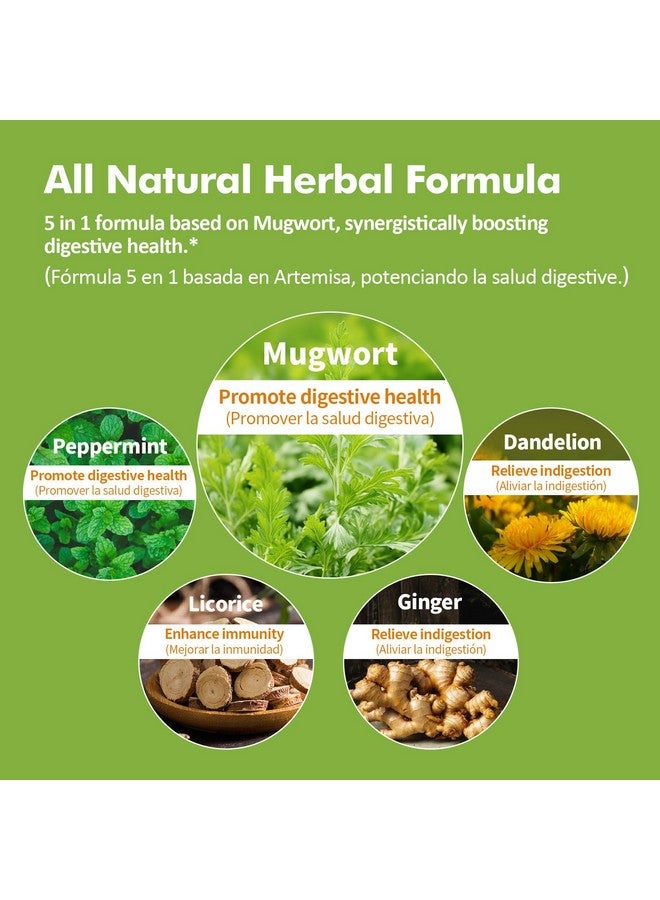 Nurbetoxa Mugwort Herb Extract Drops, Digestive Health Support Supplement/w Peppermint, Dandelion, Licorice, and Ginger. Indigestion & Bloating Relief, Gut Health & Immune Support. 2oz - Image 4