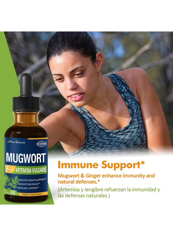 Nurbetoxa Mugwort Herb Extract Drops, Digestive Health Support Supplement/w Peppermint, Dandelion, Licorice, and Ginger. Indigestion & Bloating Relief, Gut Health & Immune Support. 2oz - Image 3