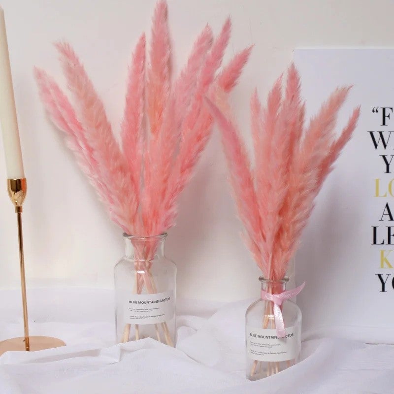 Bluejw Large Fluffy Pampas Grass Decor - Dried Natural Pampass Feathers for Boho Wedding Table Centerpieces & Dried Plants Arrangements - Image 1