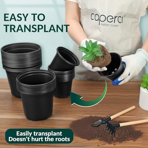 FUOAUYK 80 Pcs Small Plastic Palnt Pot, 3 Inch Nursery Pots with Drainage, Seedlings Starter Pots for Plants, Great for Herbs, Cuttings, and Starter Plants (80 pcs，3 inch) - Image 5