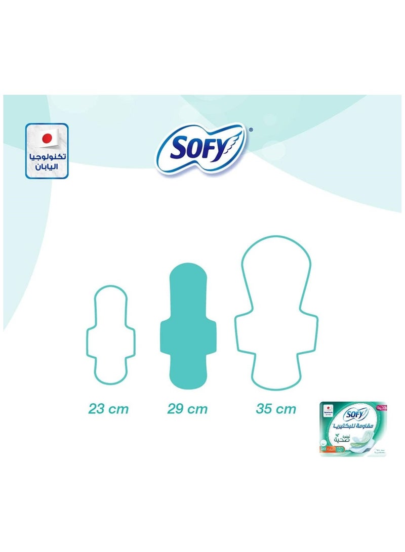 صوفي فوط صحية مضادة للبكتيريا بالمسك رفيعة كبيرة 28 قطعة - Image 2