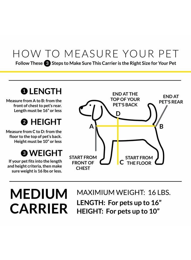rocket & rex Dog Carrier Airline Approved. Soft-Sided Cat Carrier, Pet Carrier. Everyday Use, Car, Plane Travel. Collapsible, Rigid Frame for Easy Storage. - Image 2