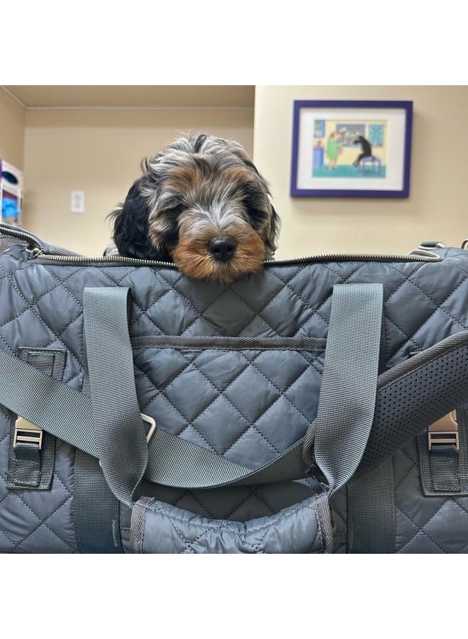 rocket & rex Dog Carrier Airline Approved. Soft-Sided Cat Carrier, Pet Carrier. Everyday Use, Car, Plane Travel. Collapsible, Rigid Frame for Easy Storage. - Image 5