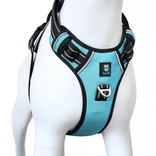 HANK Dog Harness | 3M Reflective | Body Vest for Small Dogs | Soft Comfortable | Adjustable Buckles | No Pull Harness for Training, Walking (Cyan Blue - S (4-13Kg) - Image 1