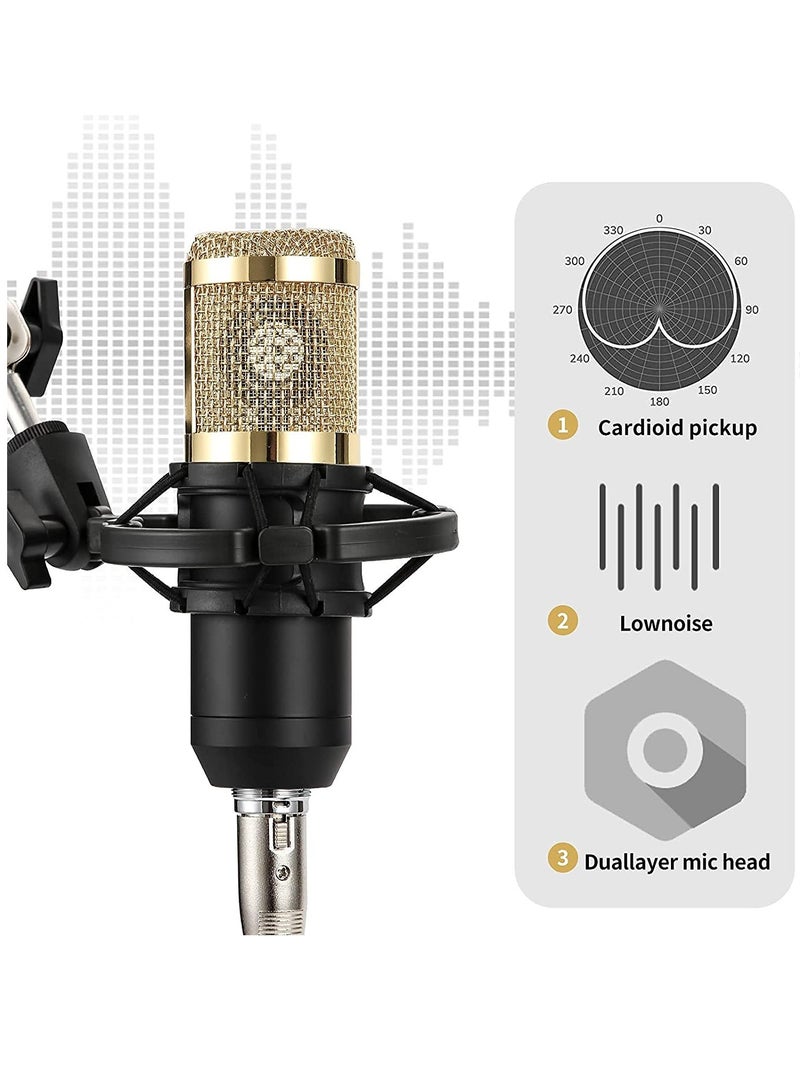 Professional Condenser Microphone With V8S Live Sound Card And Studio Recording Broadcasting Set Black/Gold