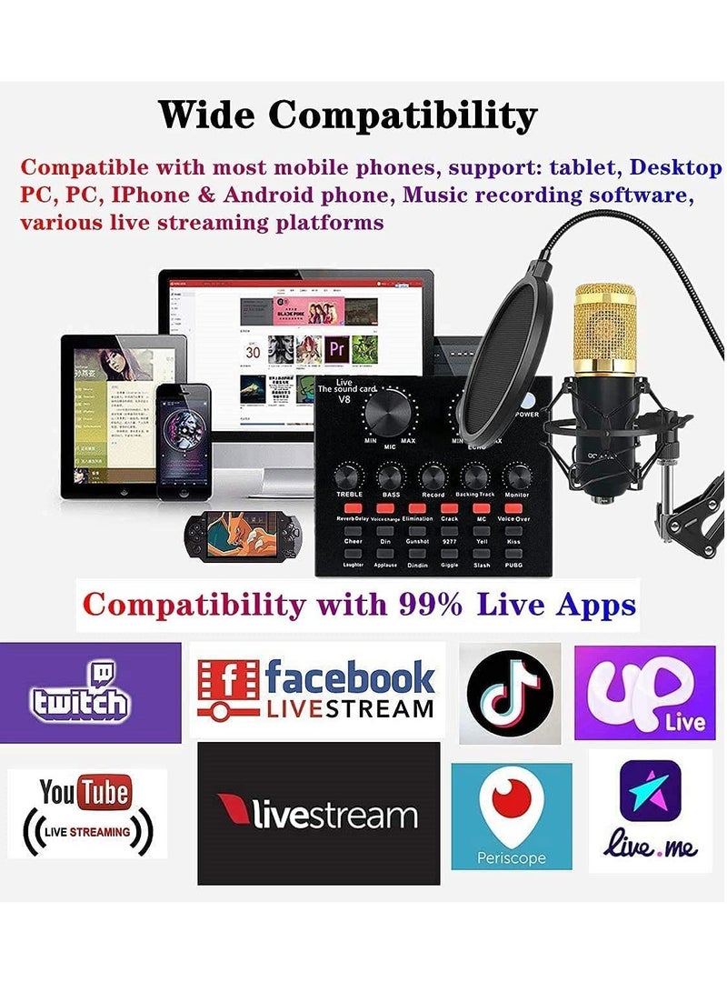 Professional Condenser Microphone With V8S Live Sound Card And Studio Recording Broadcasting Set Black/Gold