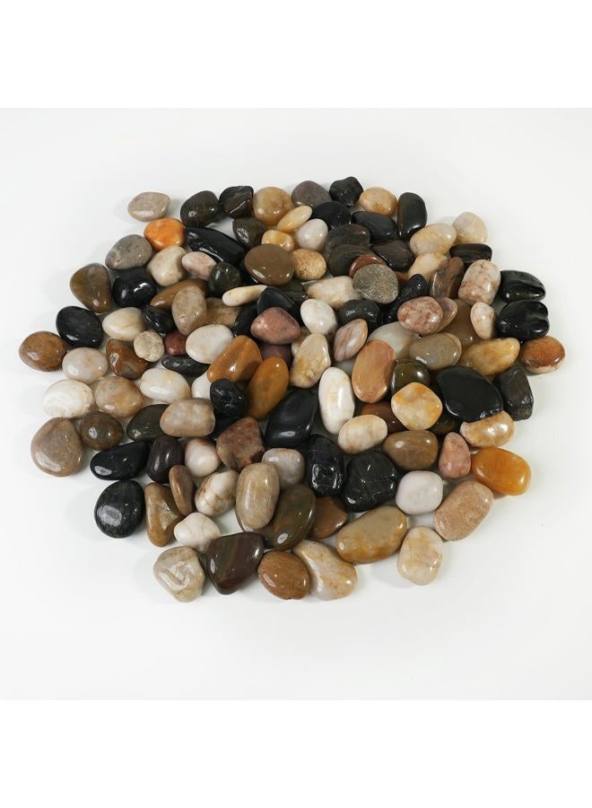 CONSDAN StoneCreek River Rocks, Decorative Garden Stones for Plant Landscaping, Polished Gravel Filler Pebbles for Home Decoration, Vases, Succulents, Flower Beds and Fish Tanks (12 LBS, Black Pebbles) - Image 1