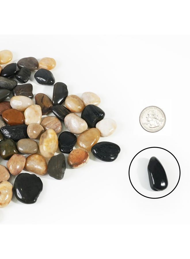 CONSDAN StoneCreek River Rocks, Decorative Garden Stones for Plant Landscaping, Polished Gravel Filler Pebbles for Home Decoration, Vases, Succulents, Flower Beds and Fish Tanks (12 LBS, Black Pebbles) - Image 2