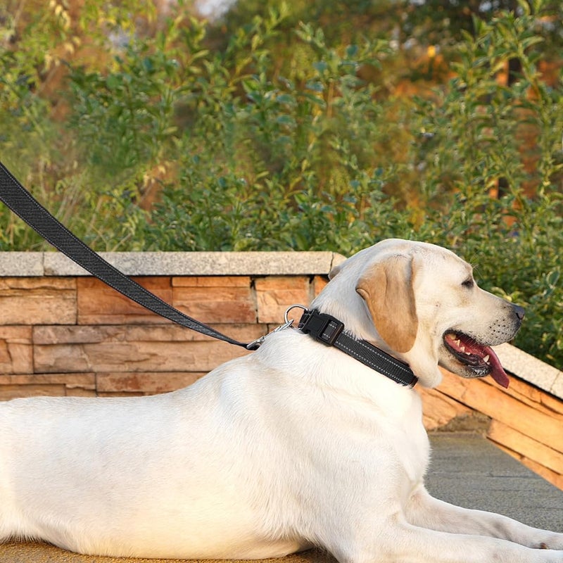 PenSeepet Dog Leash 6 FT Padded Handle Nylon Reflective Dogs Leashes for Medium Dogs Black - Image 3