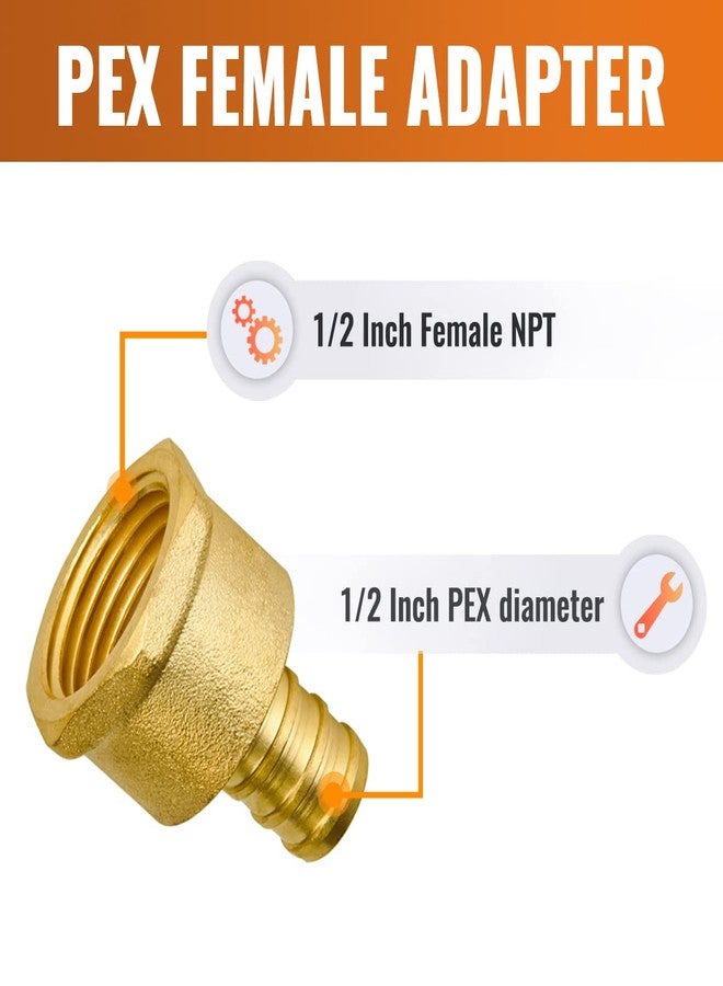 SUNGATOR PEX 1/2'' x 1/2'' NPT Female Threaded Adapter Crimp Fitting Water Pipe Connector (6-Pack), No Lead Brass - Image 2