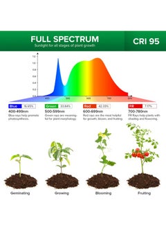 Sansi SANSI Grow Lights for Indoor Plants, LED Pot Clip Plant Light for Growing, 4000K Full Spectrum Plant Growing Lamp with 4-Level Dimmable, Auto On Off Timing 3 6 12 Hrs for Small Plants, White 5V 2-Pack  - Image 5