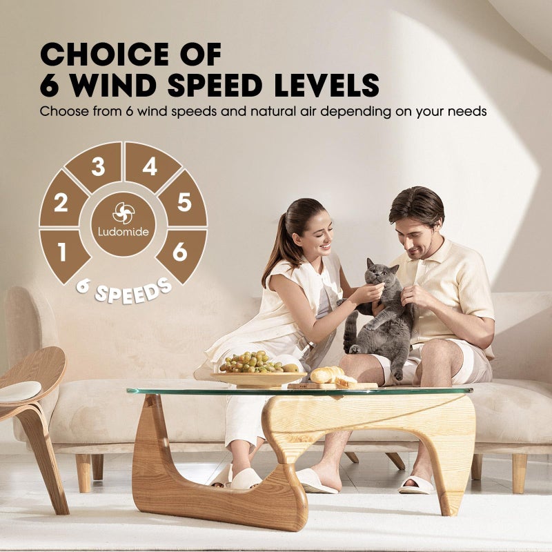 LUDOMIDE Ceiling Fans with Lights,42 Inch Low Profile Ceiling Fan with Wall Control and Remote Control,Dimmable,Flush Mount Ceiling Fan with Noiseless DC Reversible Motor for Bedroom Indoor Use - Image 4