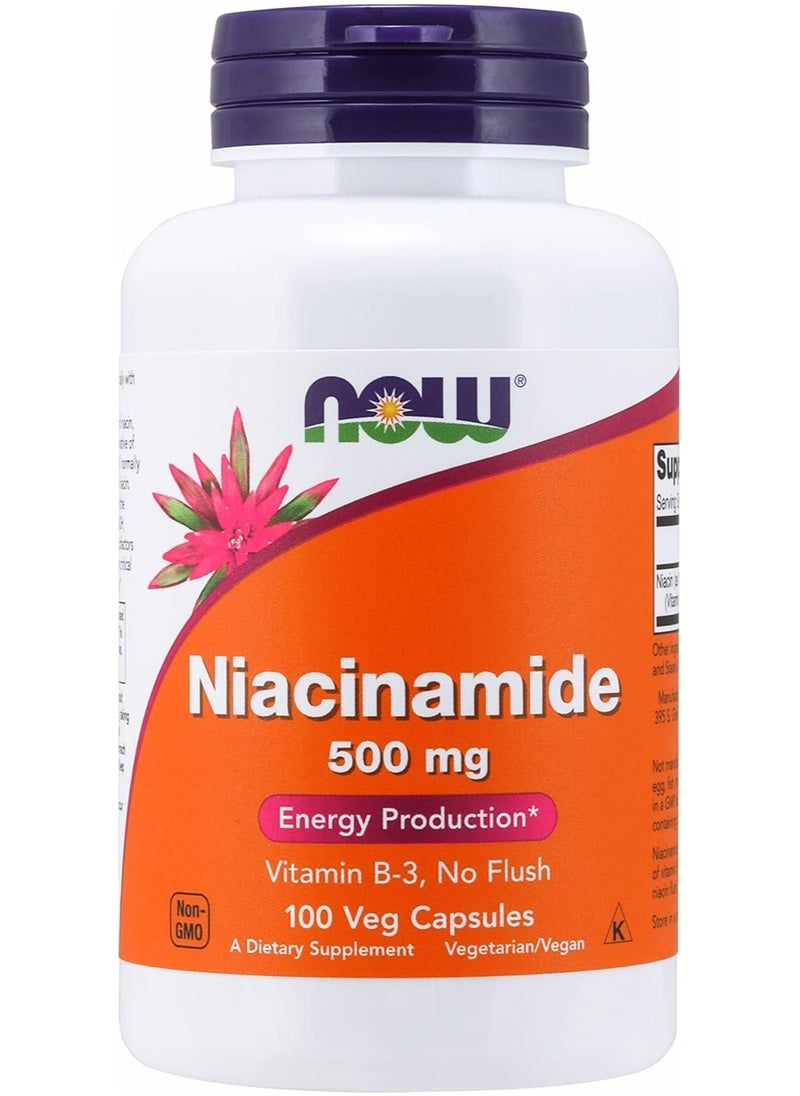now - Niacinamide 500mg 100 Caps - Image 1